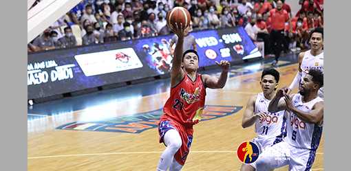 Elasto Painters fine Nambatac