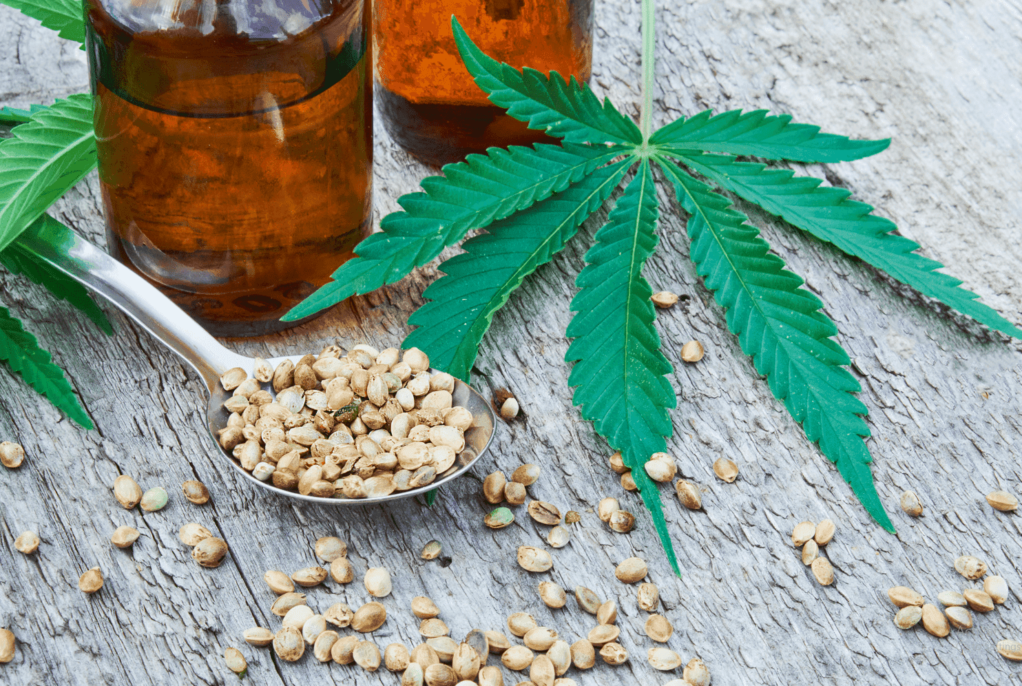 Ex-House Speaker Alvarez seeks to decriminalize marijuana