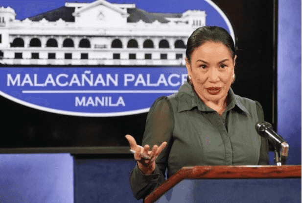 Ex-press secretary denies writing pleadings deemed as 'intemperate language'