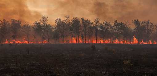 Explainer-How climate change is making the world sick