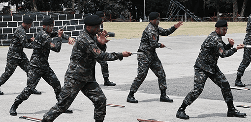 Former PNP-SAF chief recommends against involving unit in illegal drug ops