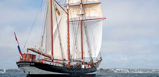 Global conservation mission sets sail from UK in Darwin's wake