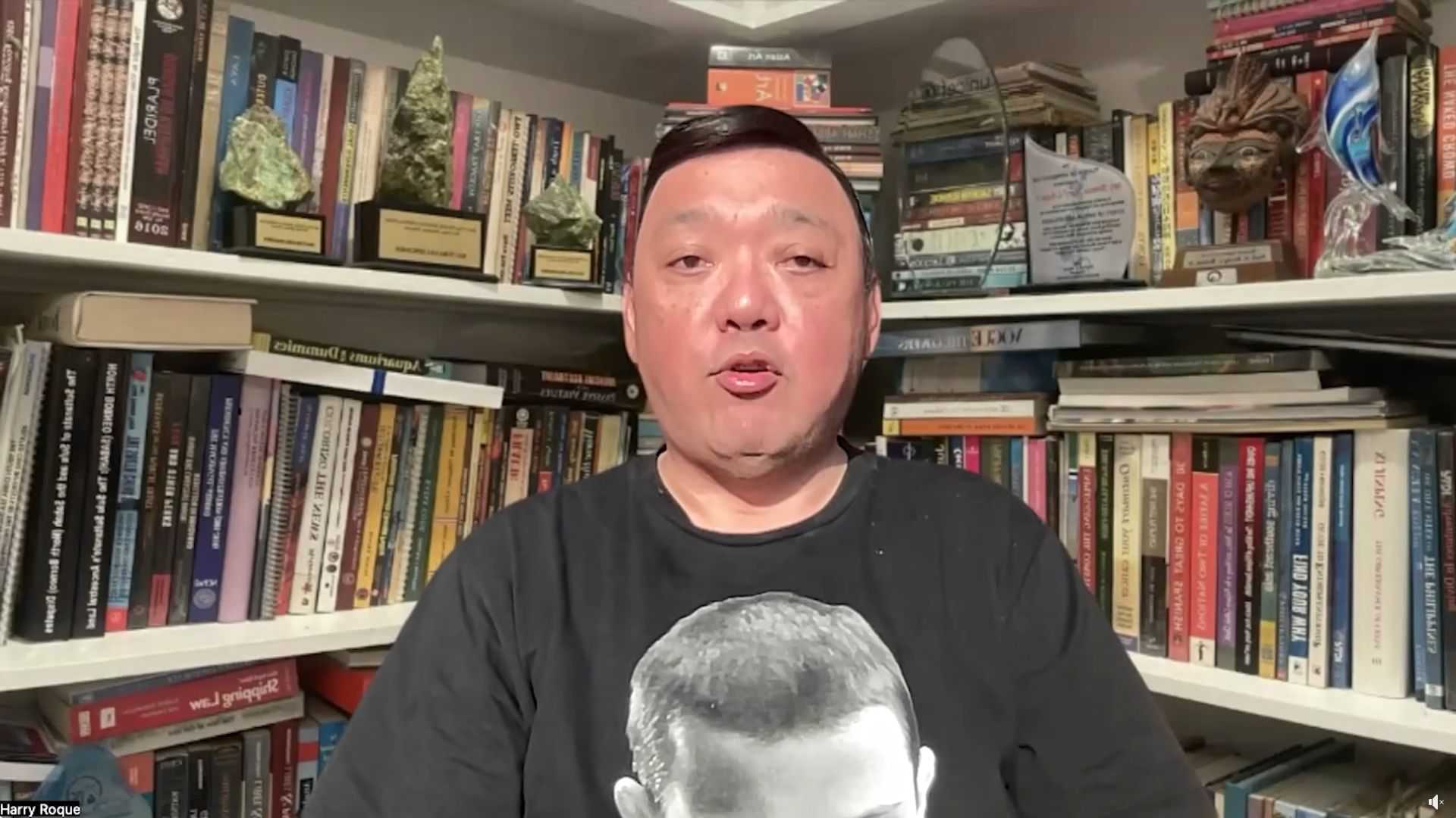 Harry Roque challenges disbarment case against him, calls it a desperate act of attention