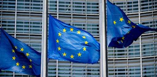 Indonesia concerned over EU deforestation law rules, not implementation timeframe