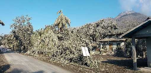 Indonesia to evacuate 16,000 people after Mount Lewotobi Laki-laki eruption