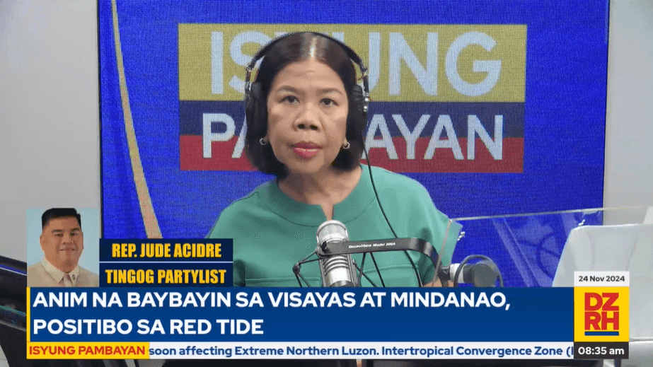 VP Sara’s situation ‘simple,’ loopholes to be plugged — Solon