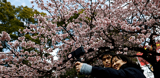 Japan visitors exceed 3 million for 2nd straight month, tourism agency says