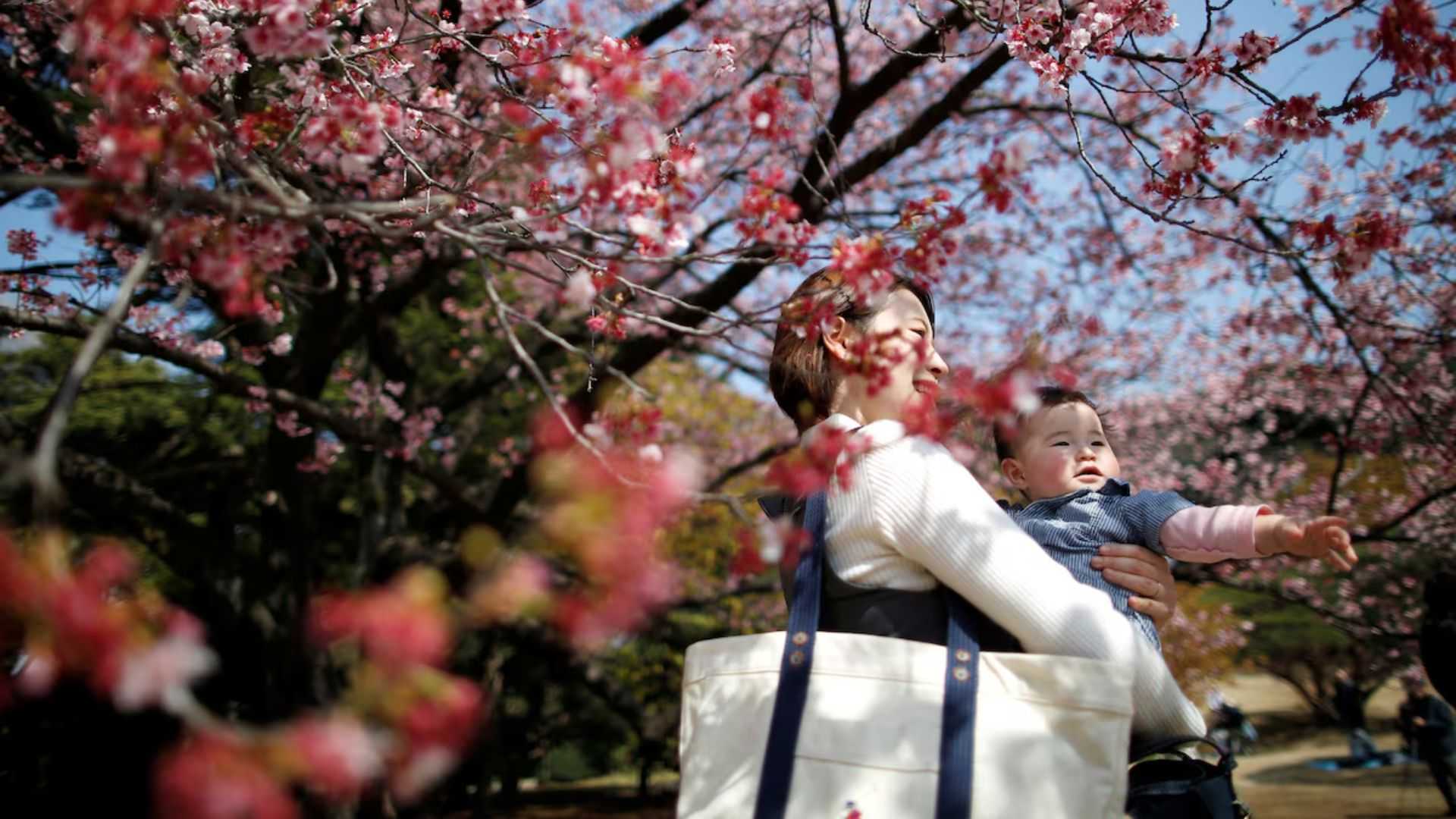Japan's births fell to record low in 2024