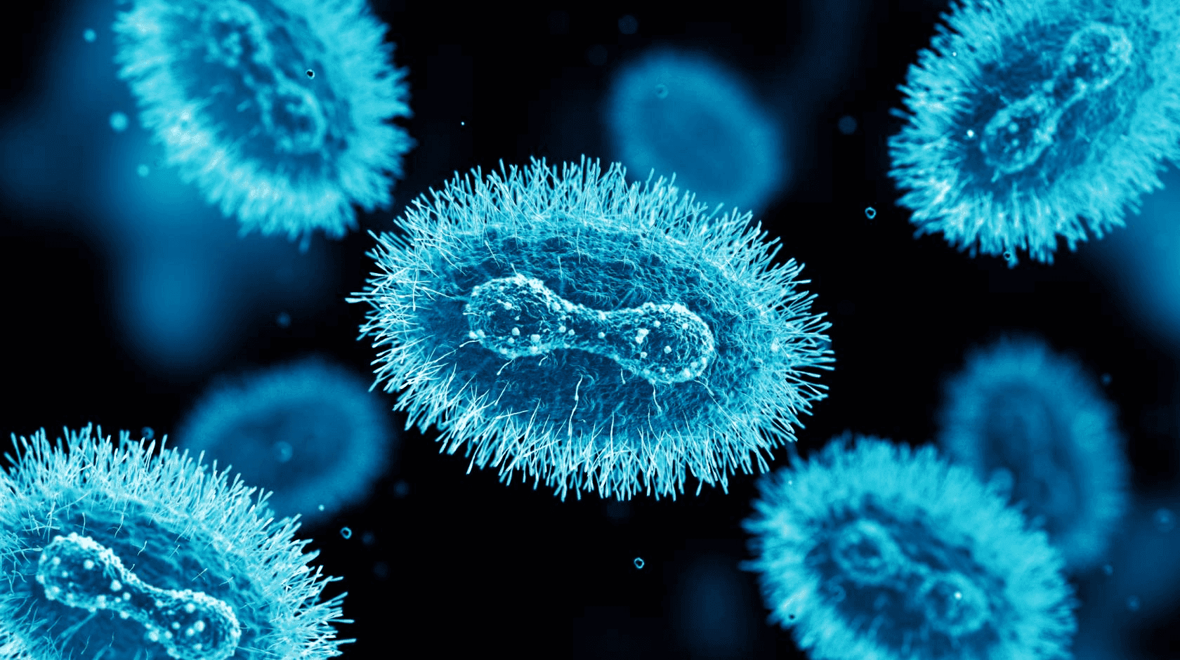 Nipah virus deadlier than COVID-19 but unlikely to become pandemic - public health expert