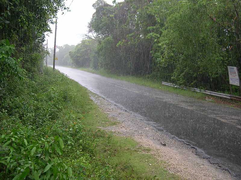 PAGASA: Amihan, shear line, possible LPA to prevail during BSKE, Undas