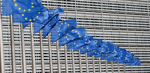 Malaysia to monitor changes in EU curbs on palm biofuel after WTO ruling