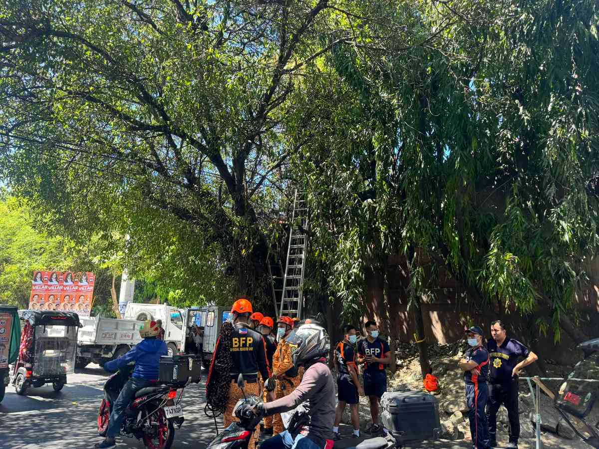 Man electrocuted while allegedly attempting to steal electric cable in Las Piñas