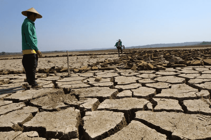 Marcos taps DENR, WRMO, other gov't agencies to submit El Niño contingency plan