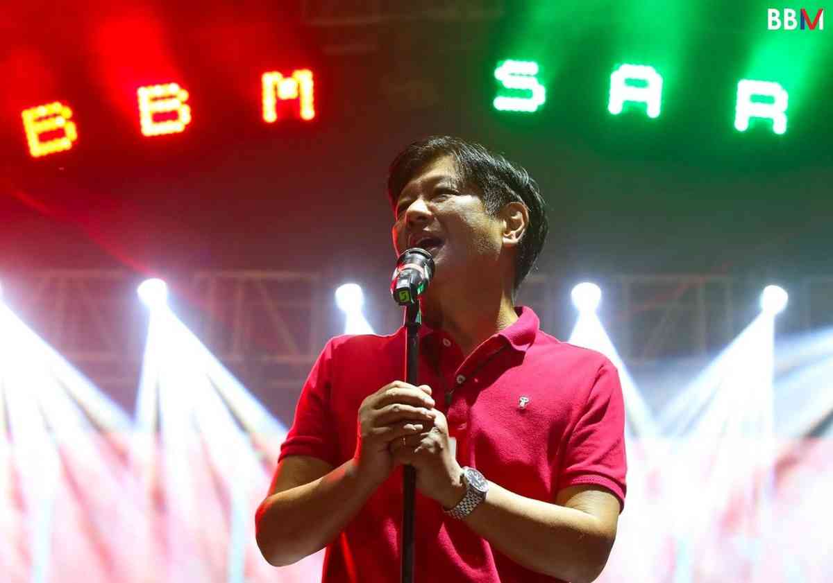 Marcos Jr. gets PDP-Laban's endorsement