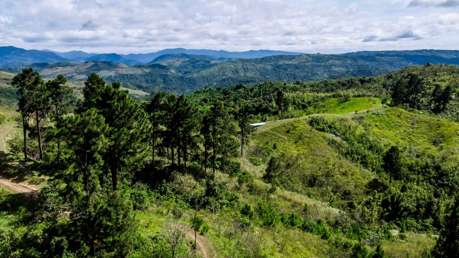 Masungi Georeserve asks Marcos to “intervene” vs DENR eviction notice