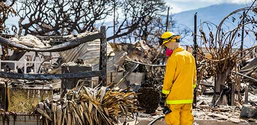 Maui officials defend decision not to sound sirens during wildfire