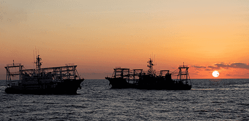 Navy monitors record-high number of Chinese ships in the West Philippine Sea