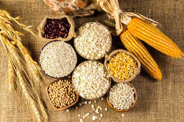 NEDA OKs proposed extension of tariff cuts for pork, corn, rice until December 2024