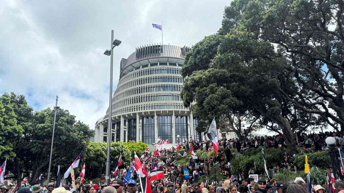 New Zealand parliament rejects controversial indigenous law