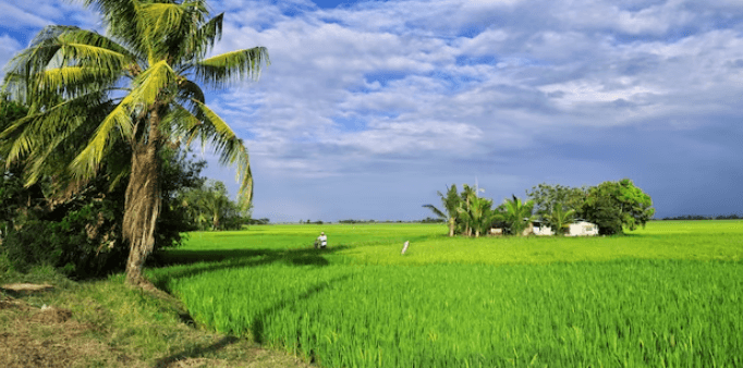 Prez Marcos announces use of biofertilizers for farmers to ease plight