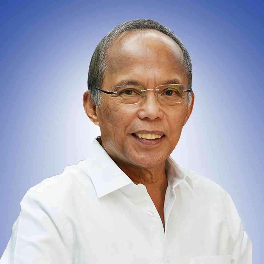 PDP confirms graft case against acting chairman Cusi over Malampaya project