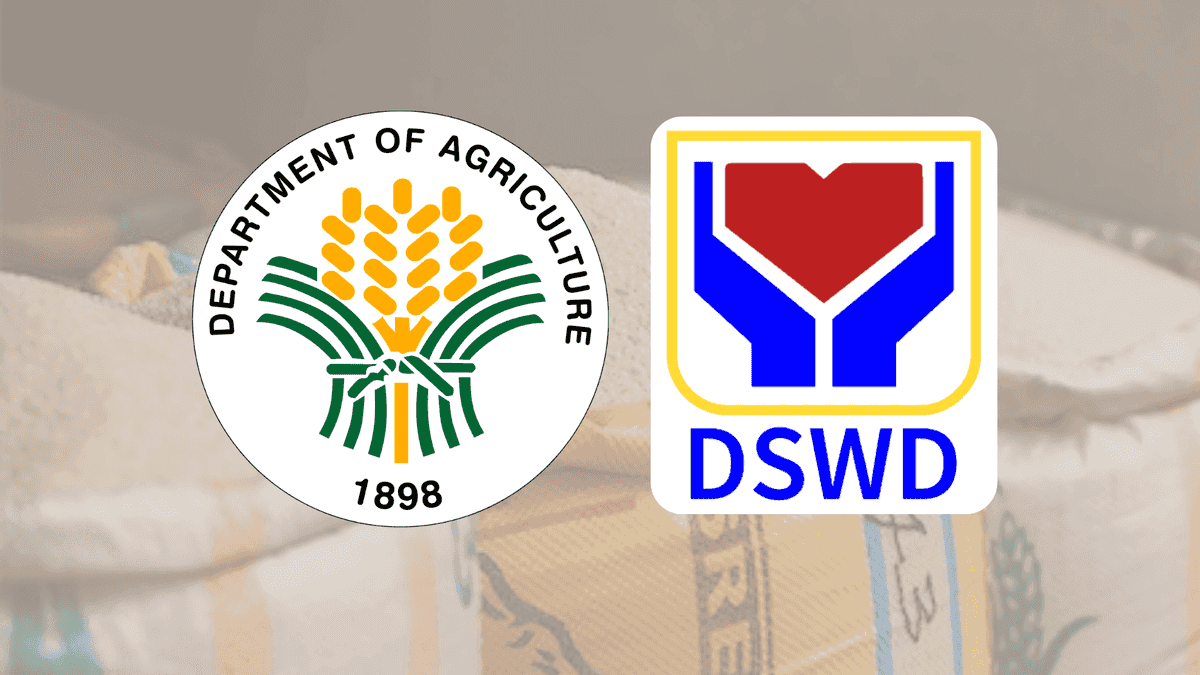 ₱20/kilo rice to be distributed under DSWD's food stamp program
