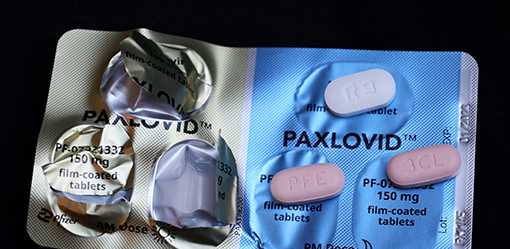 Pfizer CEO rules out generic COVID drug Paxlovid for China