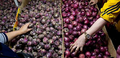 Philippine central bank ready to tighten policy if needed