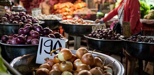 Philippine inflation slows in June, supports extended rate pause