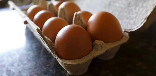 Philippines bans poultry imports from California, Ohio to prevent bird flu spread