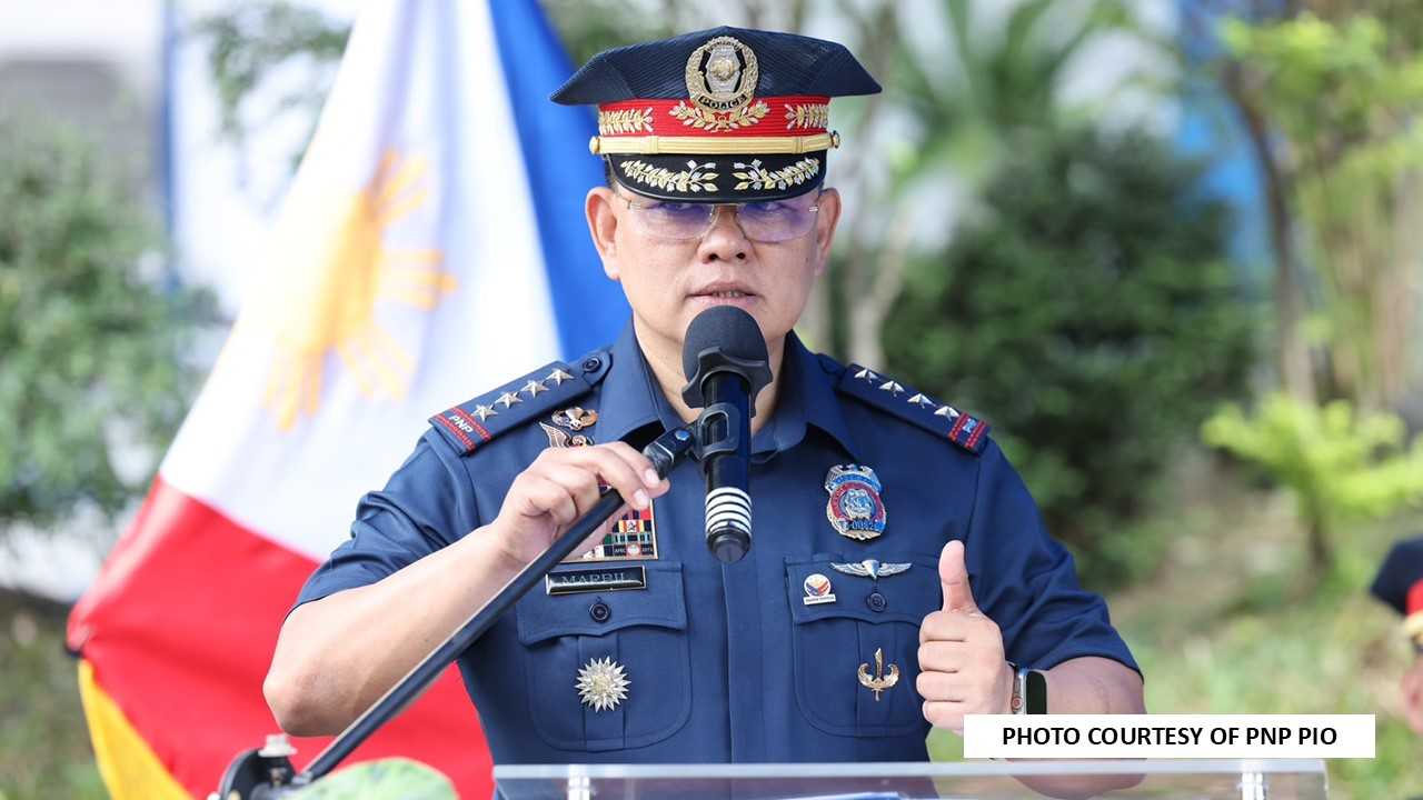 PNP Chief to block promotions of police involved in election interference