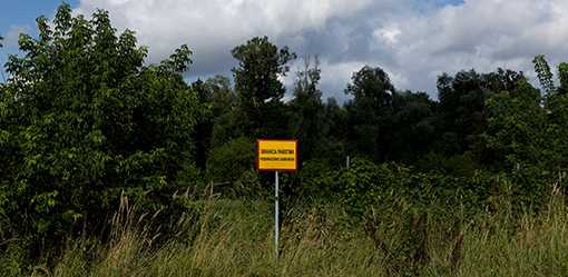 Poland plans to send up to 10,000 soldiers to border with Belarus