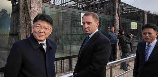 Putin gifts zoo animals, including lion and bears, to North Korean zoo