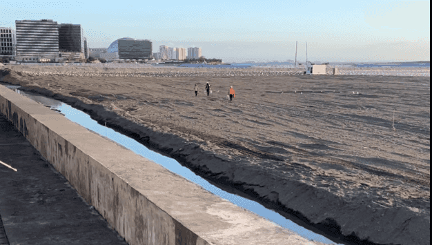 Reclamation project in front of Roxas Blvd. ‘wrong’ says Zubiri