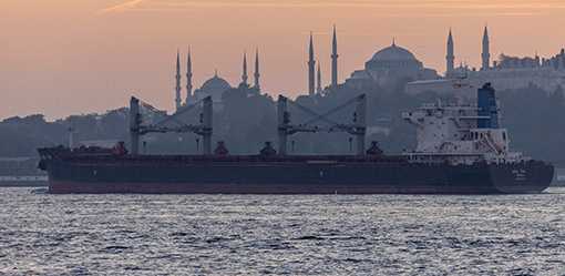 Russian, Turkish ministers talk after Turkey sends Ukrainian commanders home