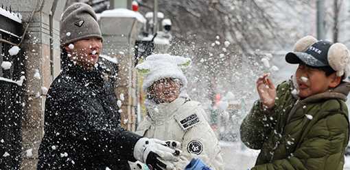 Second cold wave envelops China's Beijing in snow, ice
