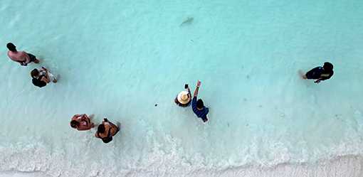 Sharks, tourists jostle for space around Thai destination island