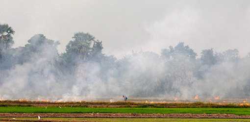 Southeast Asian ministers commit to eventual elimination of crop burning