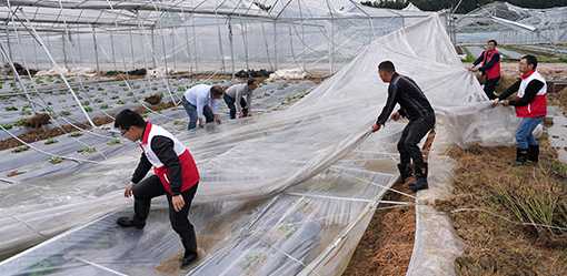 Storms with typhoon-like winds ravage South China, killing 7