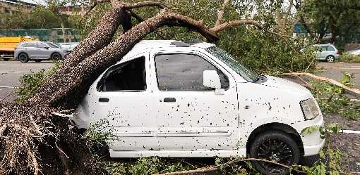 Taiwan re-opens, mopping up after Typhoon Krathon