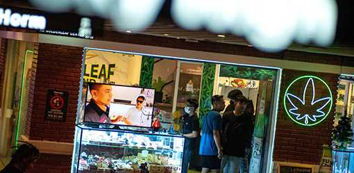 Thai PM: 'I don't agree with recreational use' of cannabis