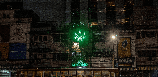 Thailand to legislate medical marijuana, signals no re-criminalising