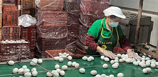 Their parents made China the world's factory. Can the kids save the family business?