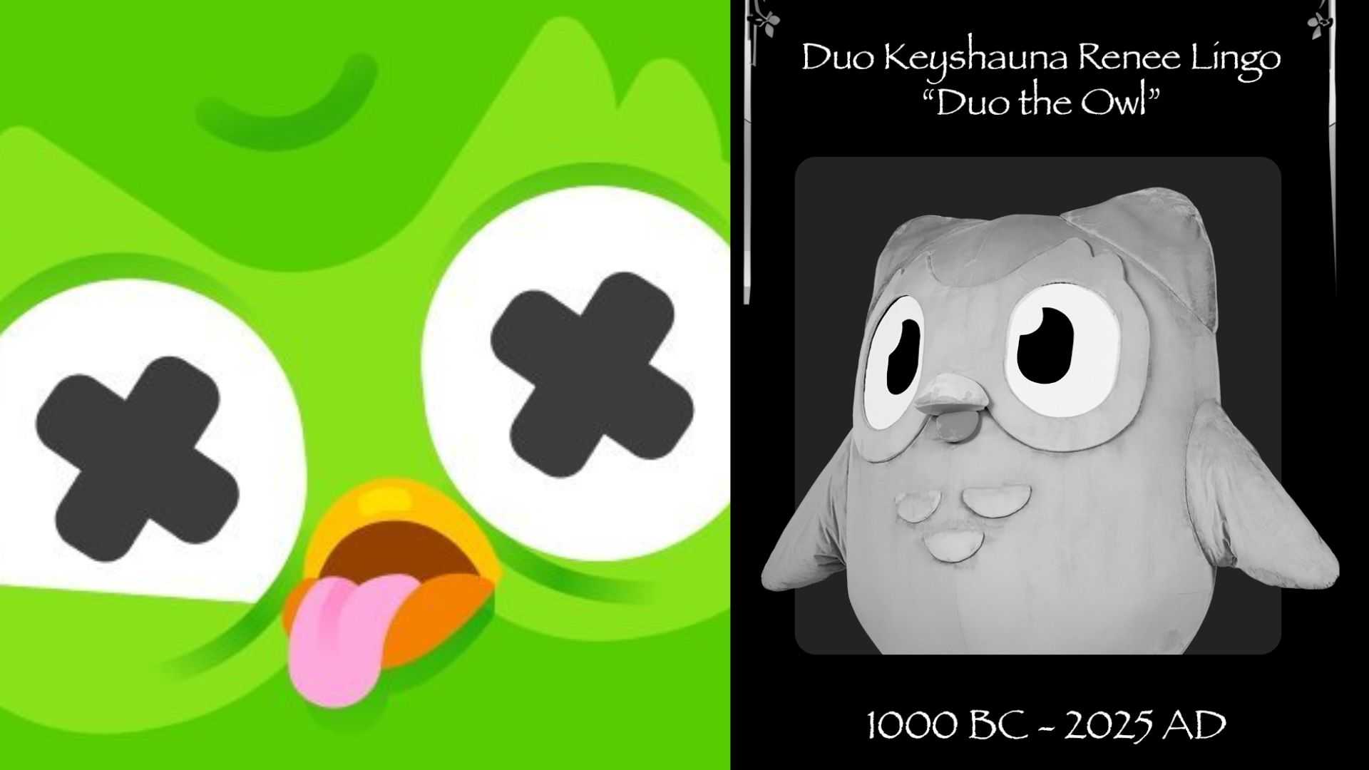 Tributes, memes pour in for the “death” of Duolingo’s mascot, Duo the Owl