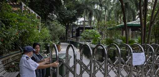 Twelfth monkey death at Hong Kong zoo, soil infection blamed