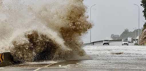 Typhoon Gaemi forces evacuation, factory suspension in northeast China