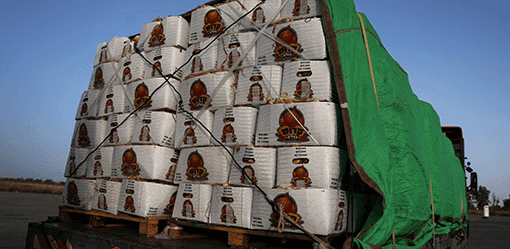 UN says lawlessness in Gaza impedes aid via Kerem Shalom despite Israel's military pause